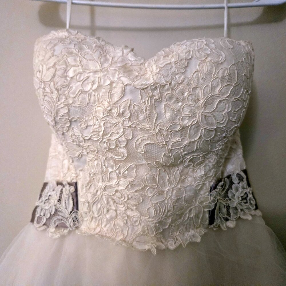 Anne Barge Stunning Strapless Lace Applique Wedding Gown